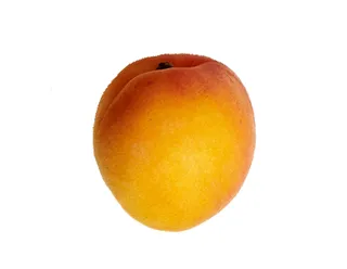 apricot