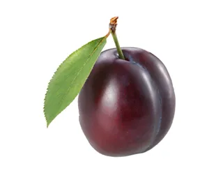 plum